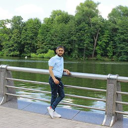 �������, �����, 38 ���