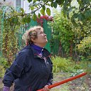 ���� �����, ������, 67 ��� - ��������� 4 ������� 2023 � ������ �������������� ���� (����)�