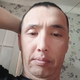 ����, �����-���������, 45 ���