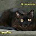 ���� �, ���������, 55 ��� - ��������� 14 ����� 2023 � ������ ���� ����������