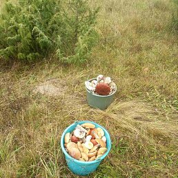  Andre, , 55  -  2  2023