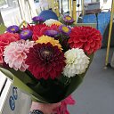 ���� ����, ���������, 62 ���� - ��������� 4 �������� 2023 � ������ ���� ����������