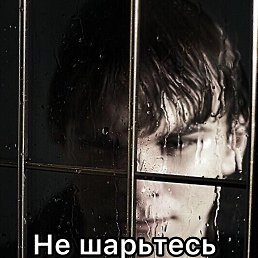 ��������, ����������, 63 ����