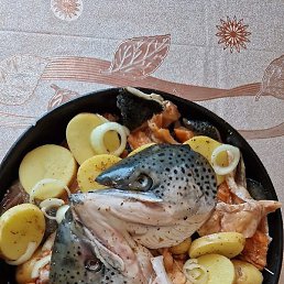 ������, ������, 37 ���