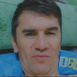 ���, ����������, 46 ���