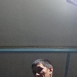 �����, ������, 43 ����