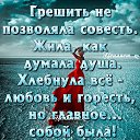 ���� �������, ������, 51 ��� - ��������� 7 ���� 2023 � ������ ������ ��������