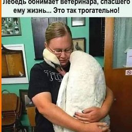 ���� ��������, �������, 46 ��� - ��������� 15 ������� 2023