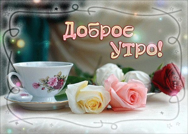  - 1  2023  09:43