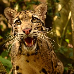 ���� �����, ���������, 40 ��� - ��������� 4 ����� 2023