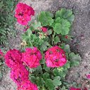 ���� �������, �����������, 70 ��� - ��������� 14 ����� 2023