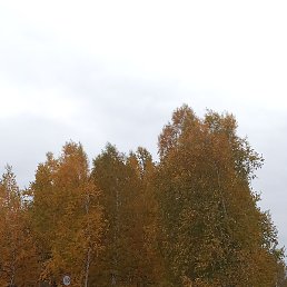 ����, ������������, 48 ���