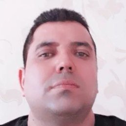 ����, ������, 41 ���