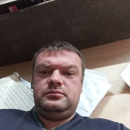 ���� ����, ������, 41 ��� - ��������� 12 ������� 2023