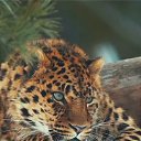 ���� �����, ����, 33 ���� - ��������� 7 ����� 2023 � ������ ���� ����������