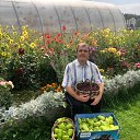  , -, 73  -  26  2023    