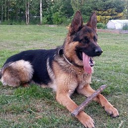 ���� �������, ������������, 54 ���� - ��������� 10 ������� 2023