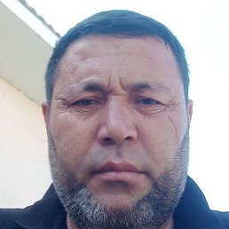 ����, �����, 37 ���