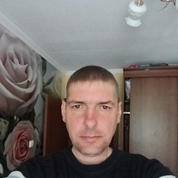 , 43 , 