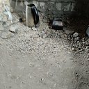 ���� �, ������, 39 ��� - ��������� 16 ���� 2023 � ������ ���� ����������