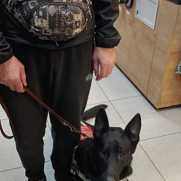 ���� �����, ����, 43 ���� - ��������� 28 �������� 2023