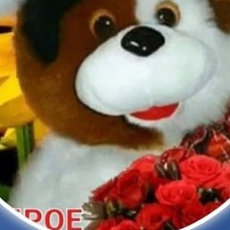 ����, ������-��-����, 60 ���