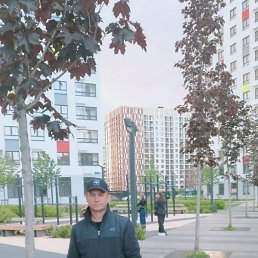 �������, ���������, 46 ���