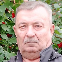 ����, ������, 72 ����