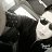 ���� Timur, �����������, 34 ���� - ��������� 17 ����� 2023