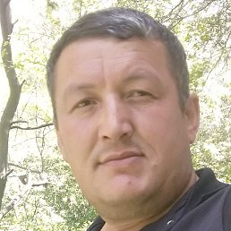Zafar, �������, 43 ����