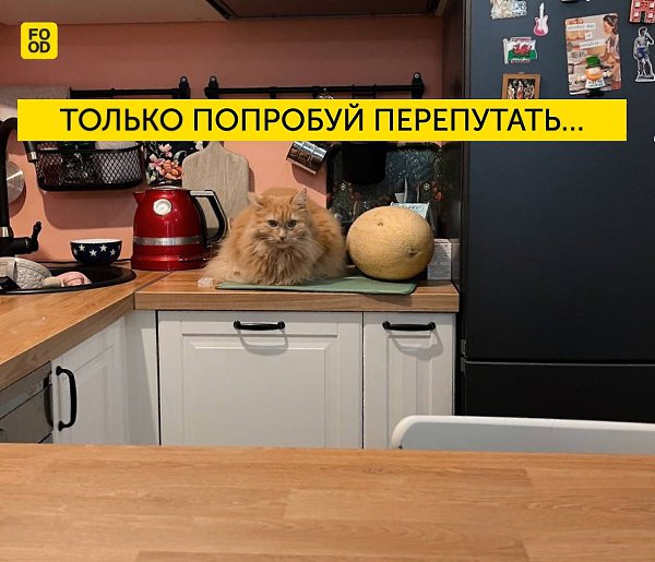 #����@foodrumedia