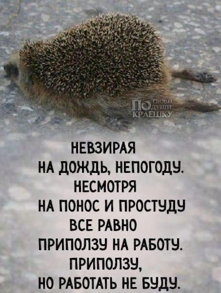 Всё будет хорошо! - 13 октября 2023 в 10:32