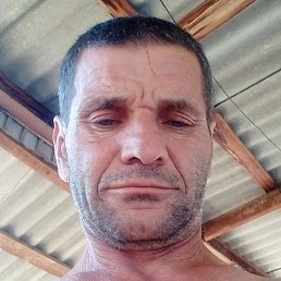 �������, �������, 52 ����