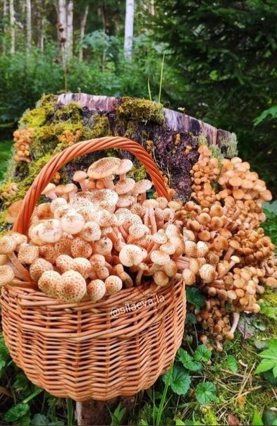 "  ,      .  ,    -    ... - 3