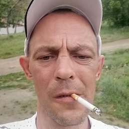 �����, ������, 41 ���