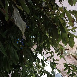 Gena, ������, 44 ����