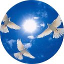 ���� ������, ������������, 37 ��� - ��������� 29 ������ 2023