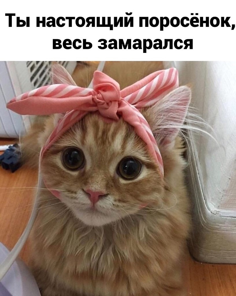 ��� � ���)