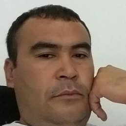 �����, �������, 43 ����