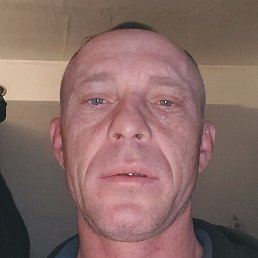 �������, �������, 46 ���