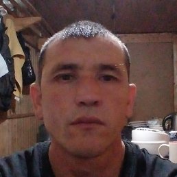 ���������, ������, 41 ���