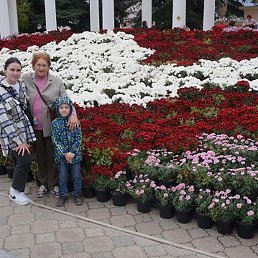 ��������, ����, 71 ���