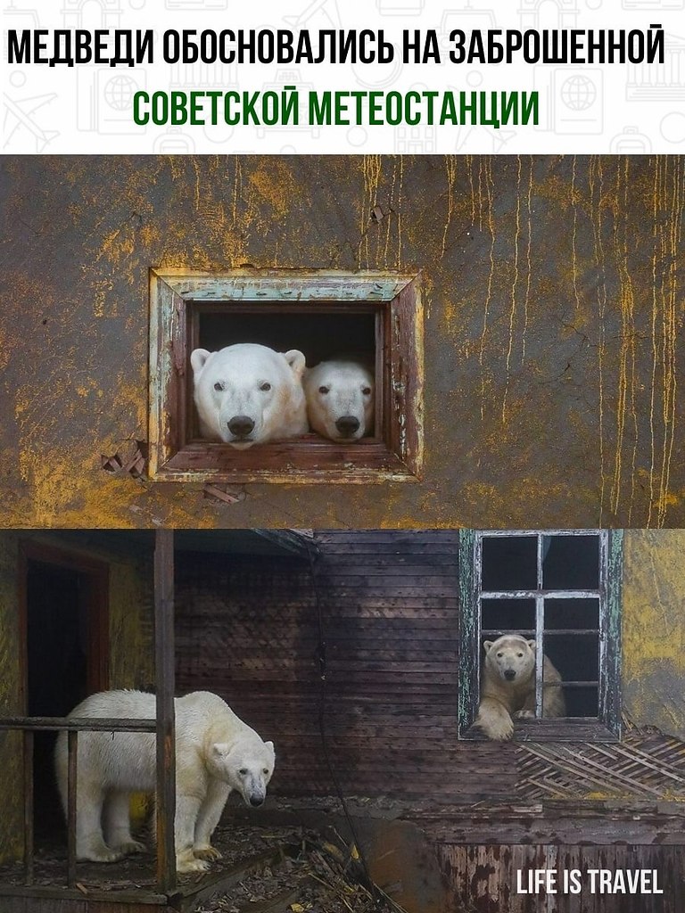 -   ?.. -  -        ...