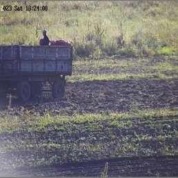 �����, ��������, 38 ���