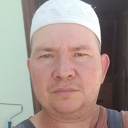 ������, ����, 46 ���