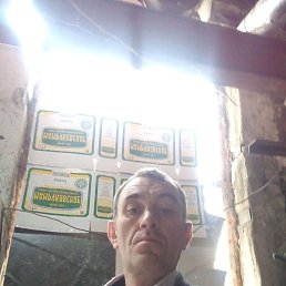 �����, ����������, 45 ���