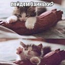 ���� �����, ������, 41 ��� - ��������� 9 ������ 2023 � ������ ���� ����������