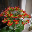 ���� ������, ������, 50 ��� - ��������� 9 ���� 2023