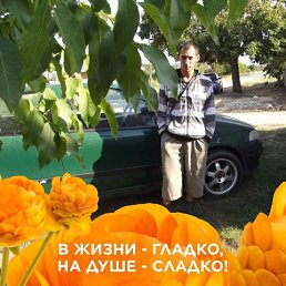 ���� ����, �����, 39 ��� - ��������� 26 ������ 2023