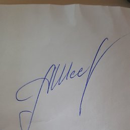 �����, ������������, 31 ���